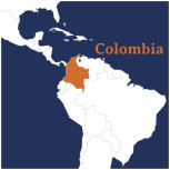 Citrus Harmony Descafeinado Colombia Molido Espresso Filtro Cesta sin Presurizar Citrus Harmony Descafeinado Colombia Molido Espresso Filtro Cesta sin Presurizar